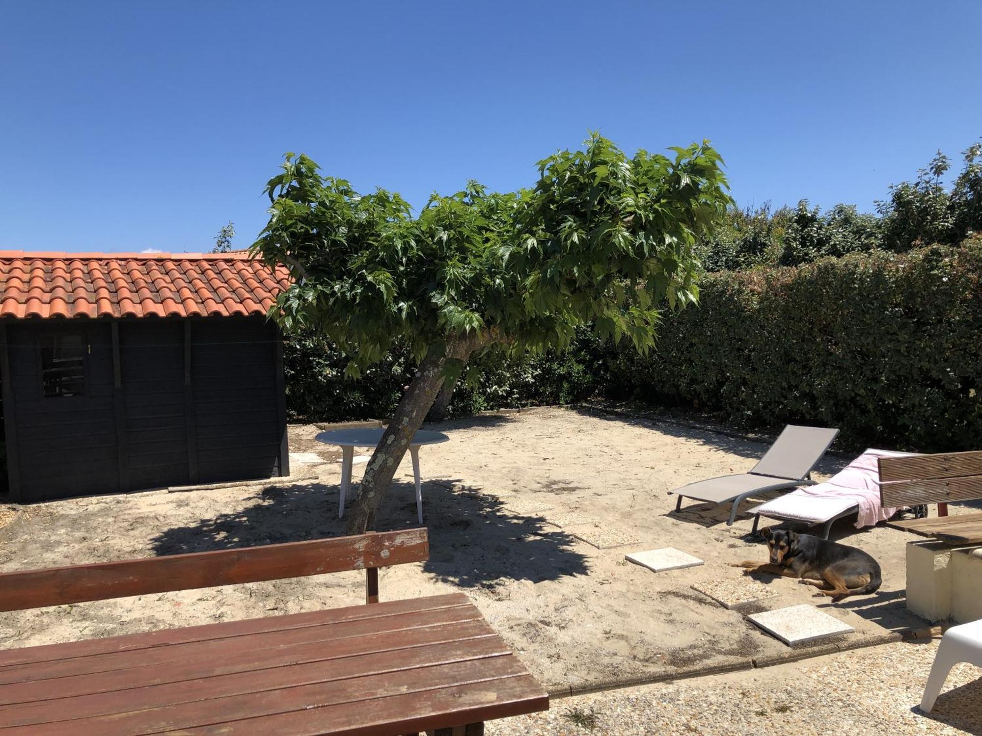 La Cabane De Biscarrosse المظهر الخارجي الصورة